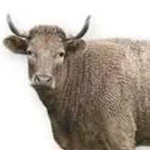 Gárdena Andaluza