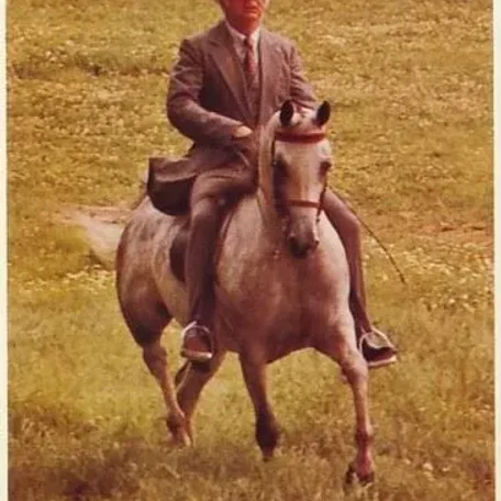 Baskele (Bask x Almarah Doe Fawn x Al-Marah Indraff) 1972 Grey mare. Res US National Champion Pleasure Driving.