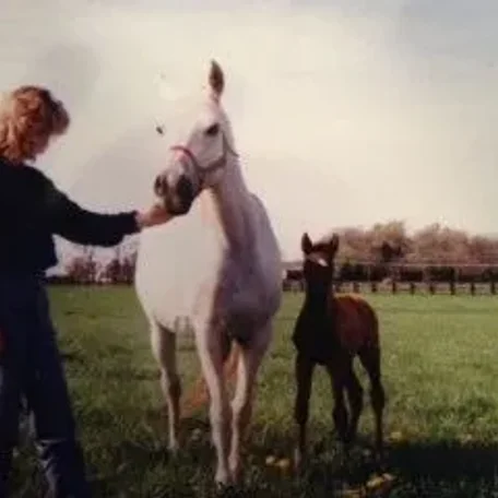 Belmar was a mare I saw years ago and never forgot...Beautiful!