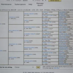 Six String's Pedigree