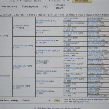 Six String's Pedigree