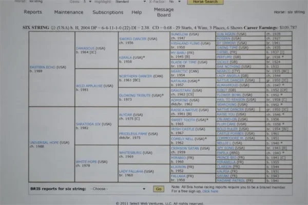 Six String's Pedigree