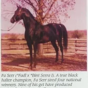 Fa-Serr
