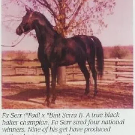 Fa-Serr