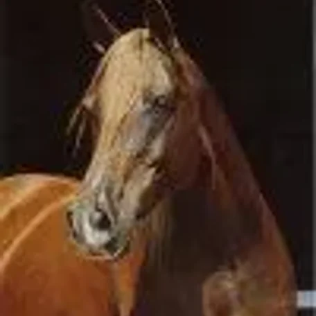 Al Nahr Mona Lisa