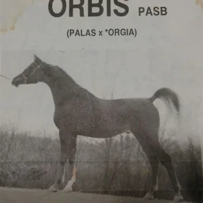 *Orbis PASB