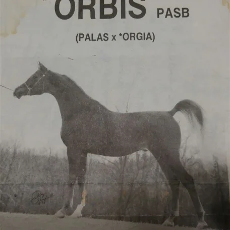 *Orbis PASB