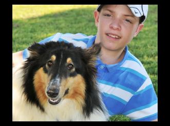 Bailey Meadows Collies