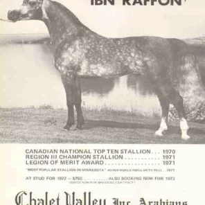 IBN RAFFON