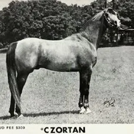 *Czortan