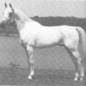 Sur-Jubi