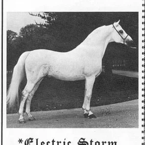 ELECTRIC STORM