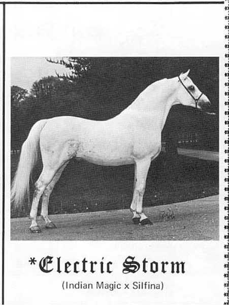 ELECTRIC STORM