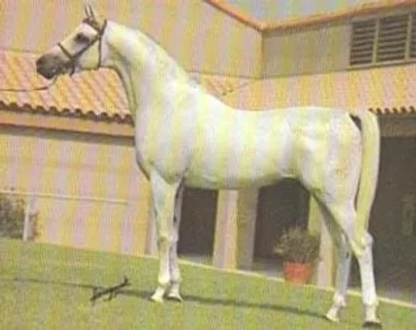 KELLO-GWALOR