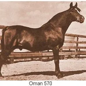 Oman