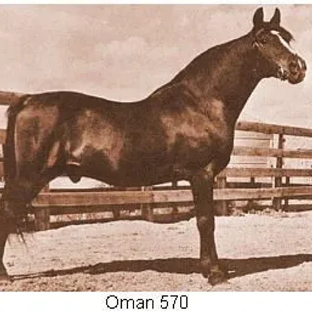 Oman