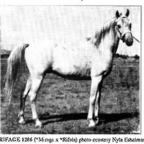 RIFAGE