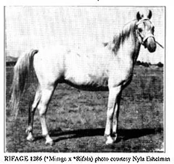 RIFAGE