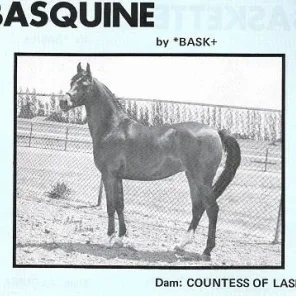 Basquine