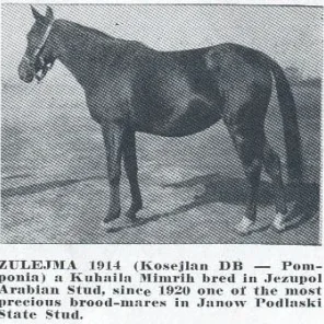 ZULEJMA