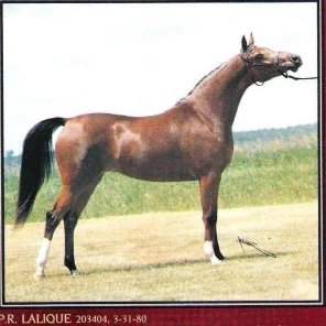 PR Lalique