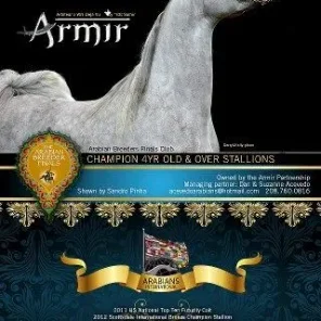 Armir