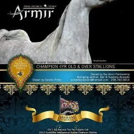 Armir proudly owned by Acevedo Arabians.