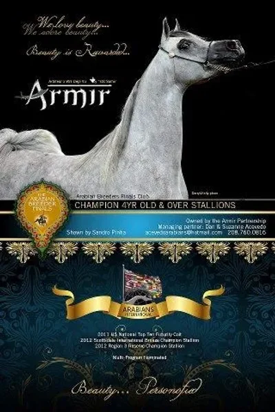 Armir