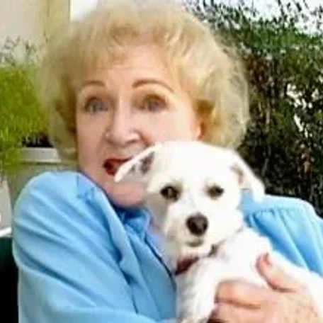 Some of Hollywood's Biggest Stars and a Few of Their Pets