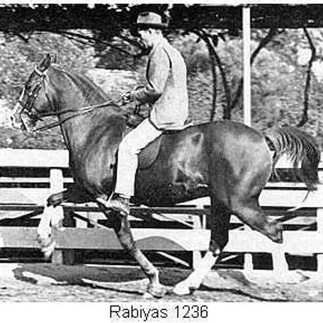 RABIYAS