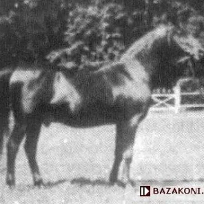 Mazepa II