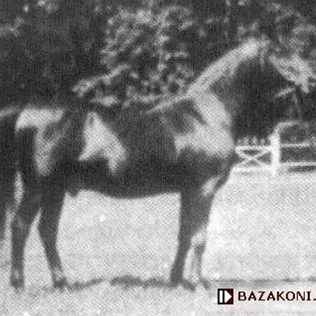 Mazepa II