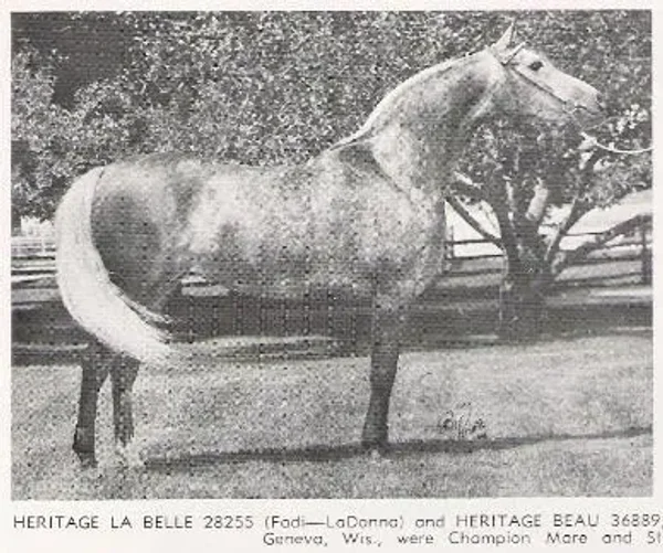 Heritage Labelle