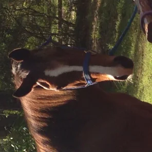 Promise Tu LeDoux