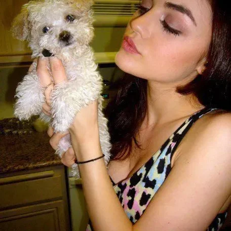 Ashley Benson 
Pet Name: Olive
Breed: Maltese Shih Tzu
Ian Harding
Pet Names: Bailey and Mochi 
Breed: Labradoodle
Trivia: He adopted them through the Adopt LA and Dogs 
Keegan Allen 
Pet Name: Minin 
Breed: Burmese cat 
Lucy Hale 
Pet Name: Ja