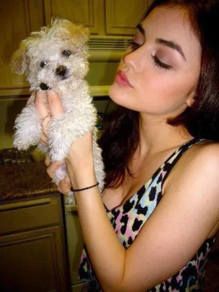 Ashley Benson 
Pet Name: Olive
Breed: Maltese Shih Tzu
Ian Harding
Pet Names: Bailey and Mochi 
Breed: Labradoodle
Trivia: He adopted them through the Adopt LA and Dogs 
Keegan Allen 
Pet Name: Minin 
Breed: Burmese cat 
Lucy Hale 
Pet Name: Ja