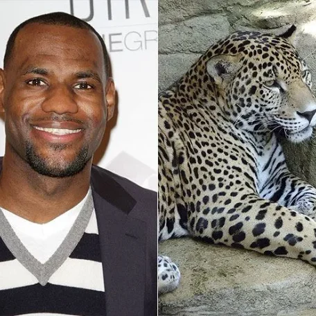 Some of Hollywood's Biggest Stars and a Few of Their Pets