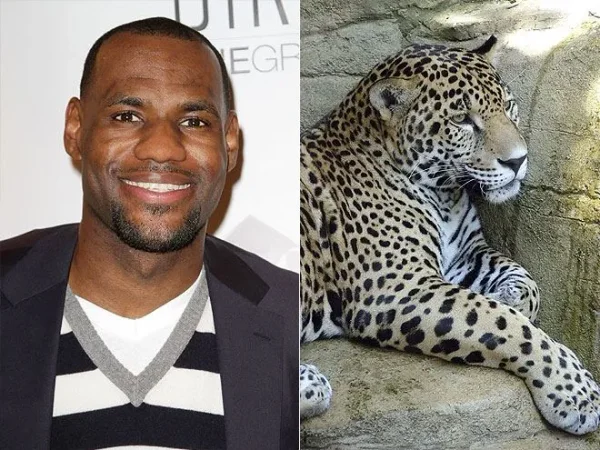 Some of Hollywood's Biggest Stars and a Few of Their Pets