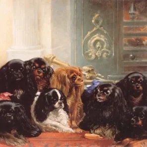 The Tudors Beloved Pets Pt 2
