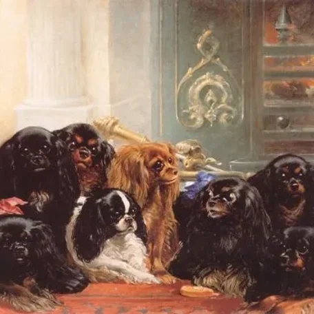 Pet of the Tudors