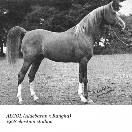 Algol