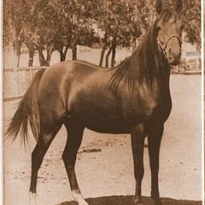 Aabba