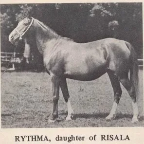 Rythma