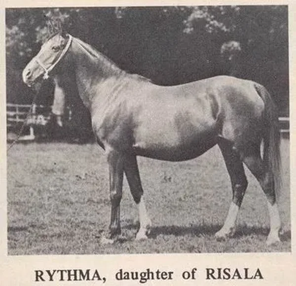 Rythma