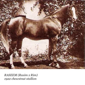 Raseem