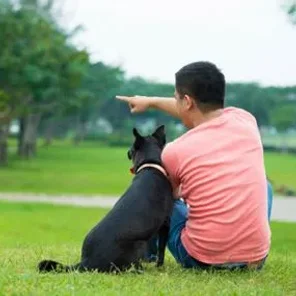 What's Going On When You Talk to Your Pet - Pt 2