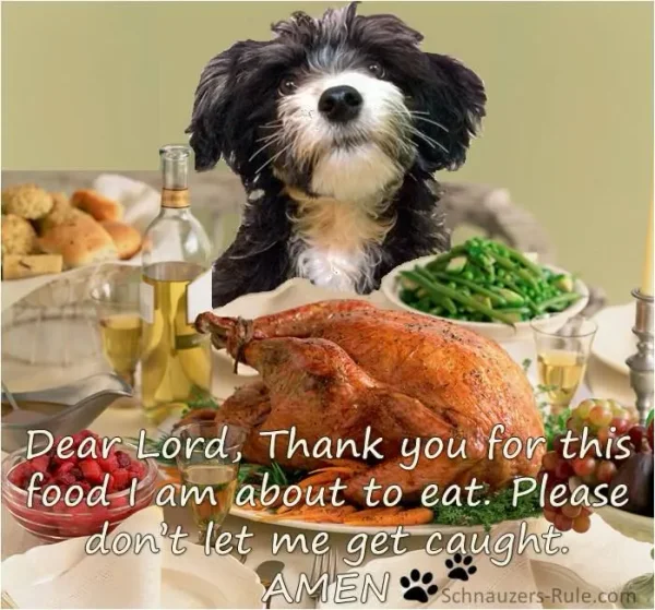 Oh, oh - none for you - ALL FOR ME!