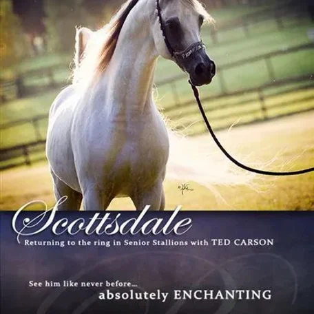 We are wishing KM Bugatti, Ted, and Kristi the very best of luck at Scottsdale!!!