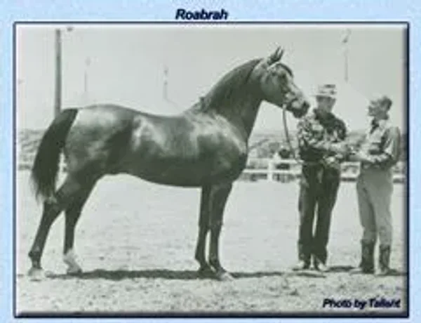 ROABRAH