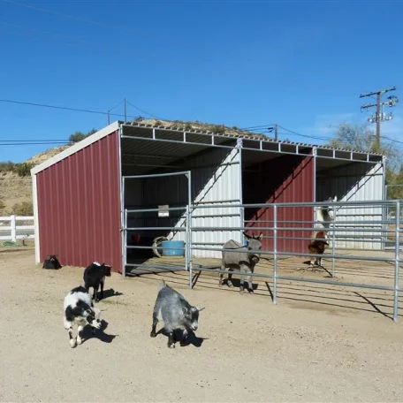 All my hooved animals in one picture
